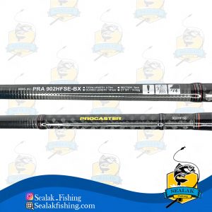 چوب ماهیگیری Procaster-A برند Daiwa دو تکه